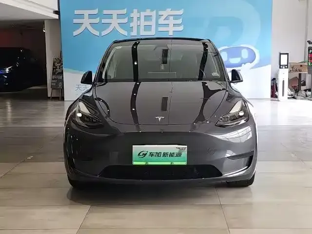 Tesla Model Y — фото 6