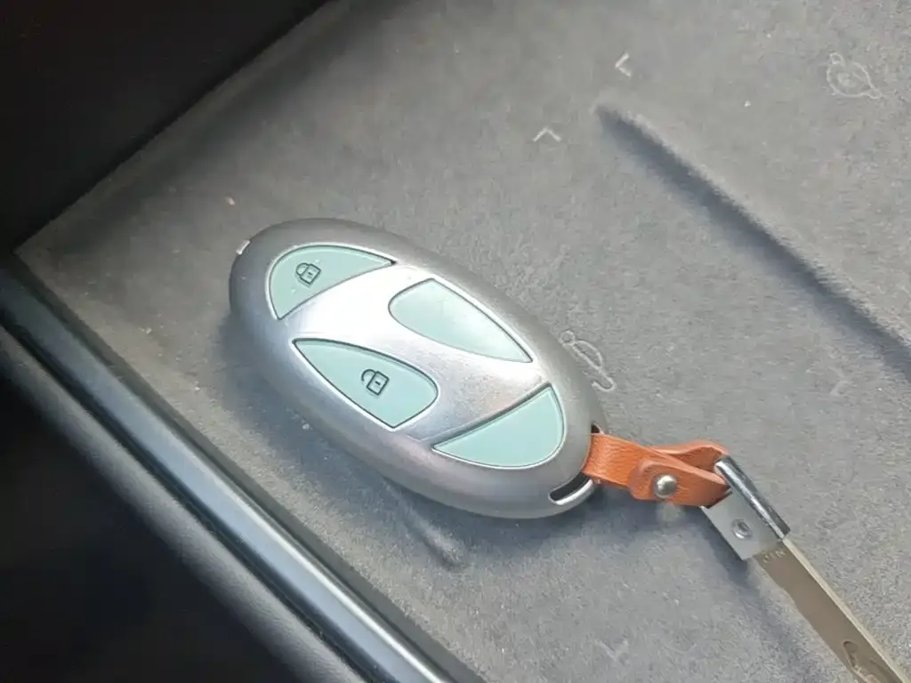 Hyundai EO — фото 2