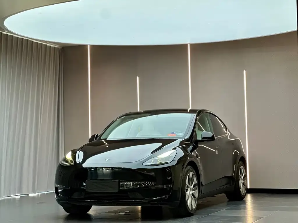 Tesla Model Y — фото 1