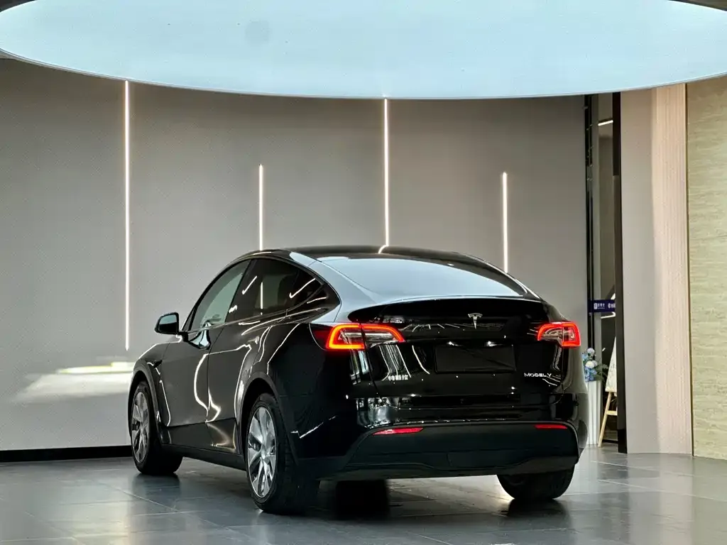 Tesla Model Y — фото 10