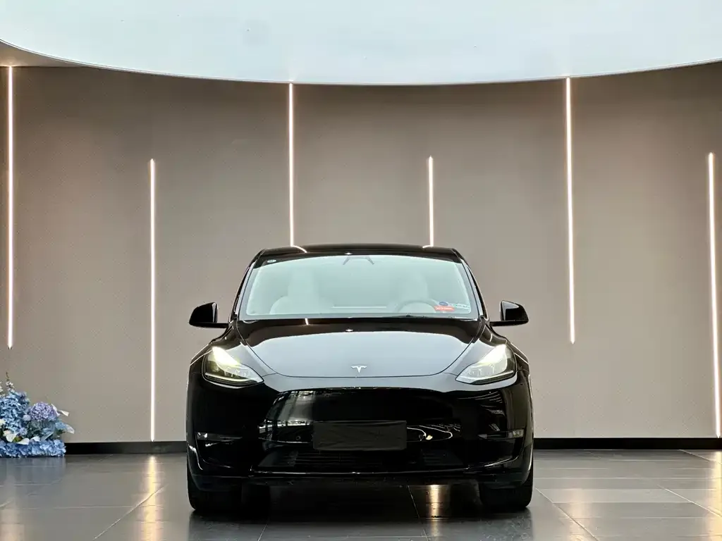 Tesla Model Y — фото 8