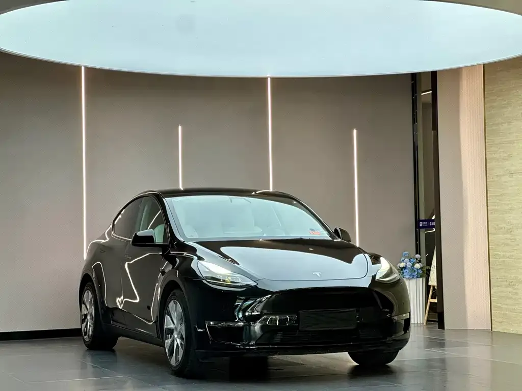 Tesla Model Y — фото 2