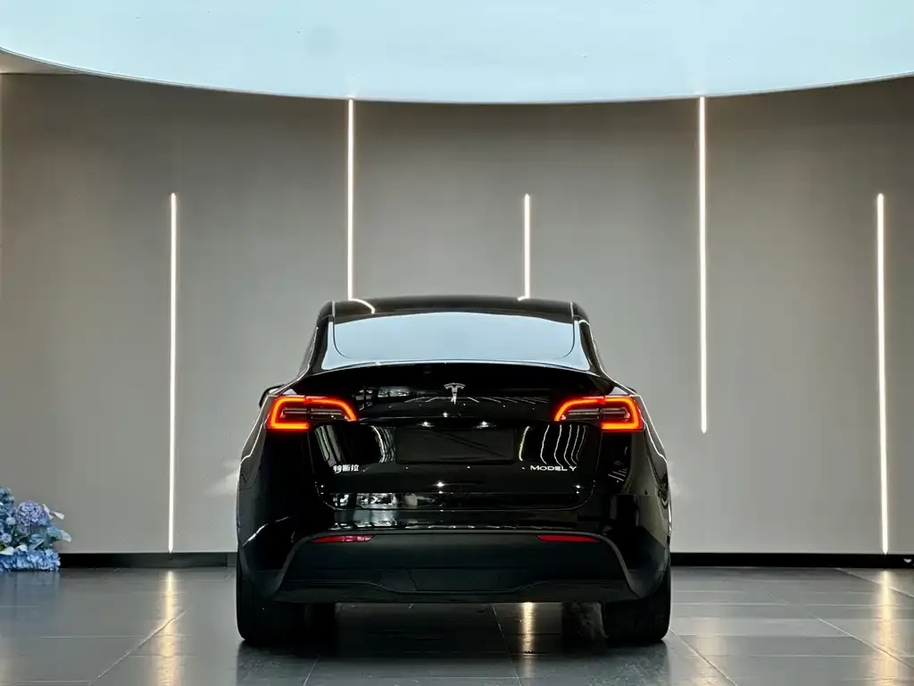 Tesla Model Y — фото 3