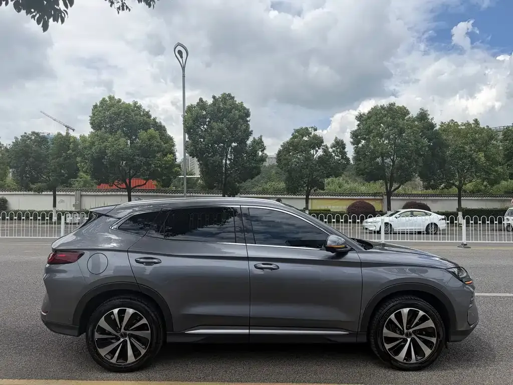 BYD PLUS New Energy — фото 2
