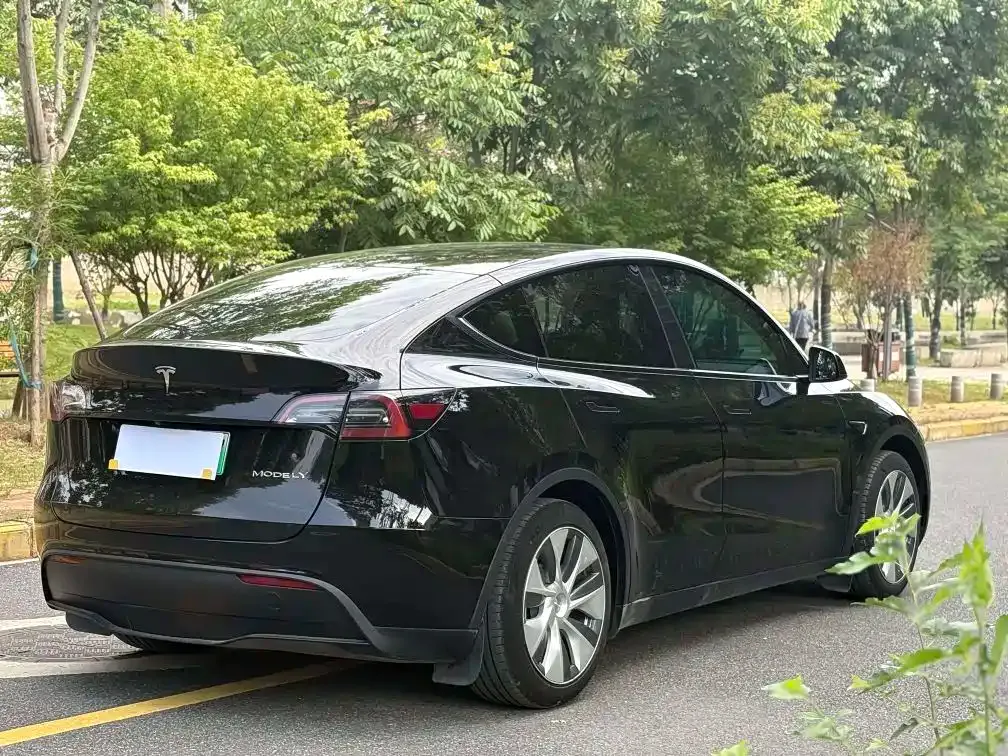 Tesla Model Y — фото 10