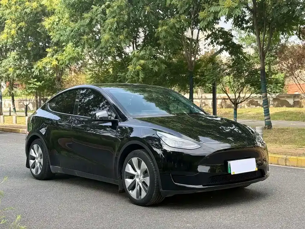 Tesla Model Y — фото 9
