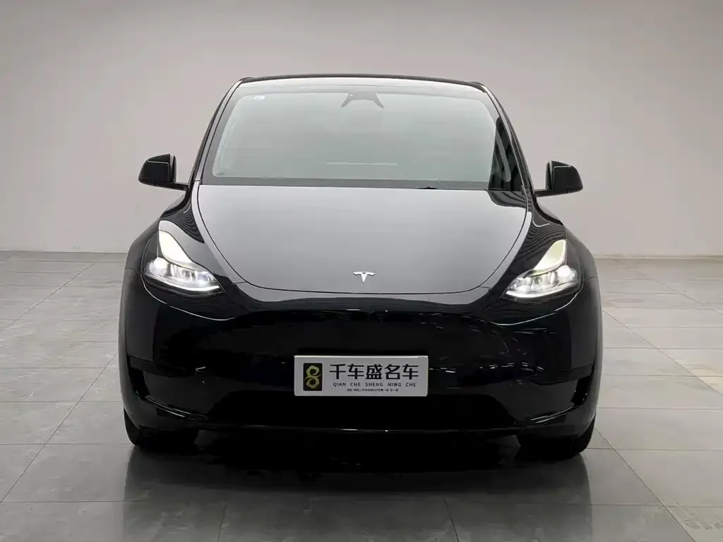 Tesla Model Y — фото 10