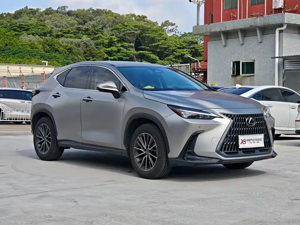 Lexus NX — фото 8