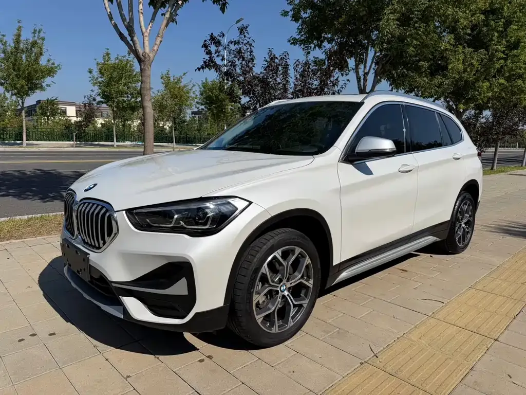 BMW X1 — фото 1