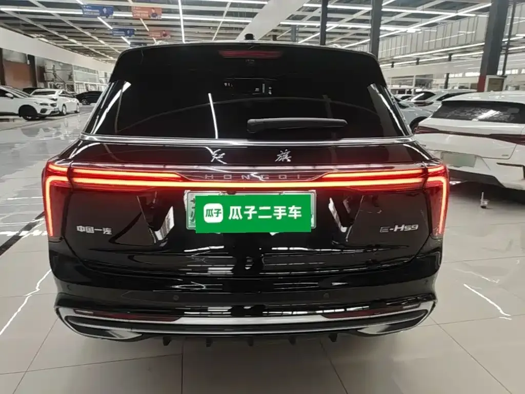 Hongqi E-HS9 — фото 2