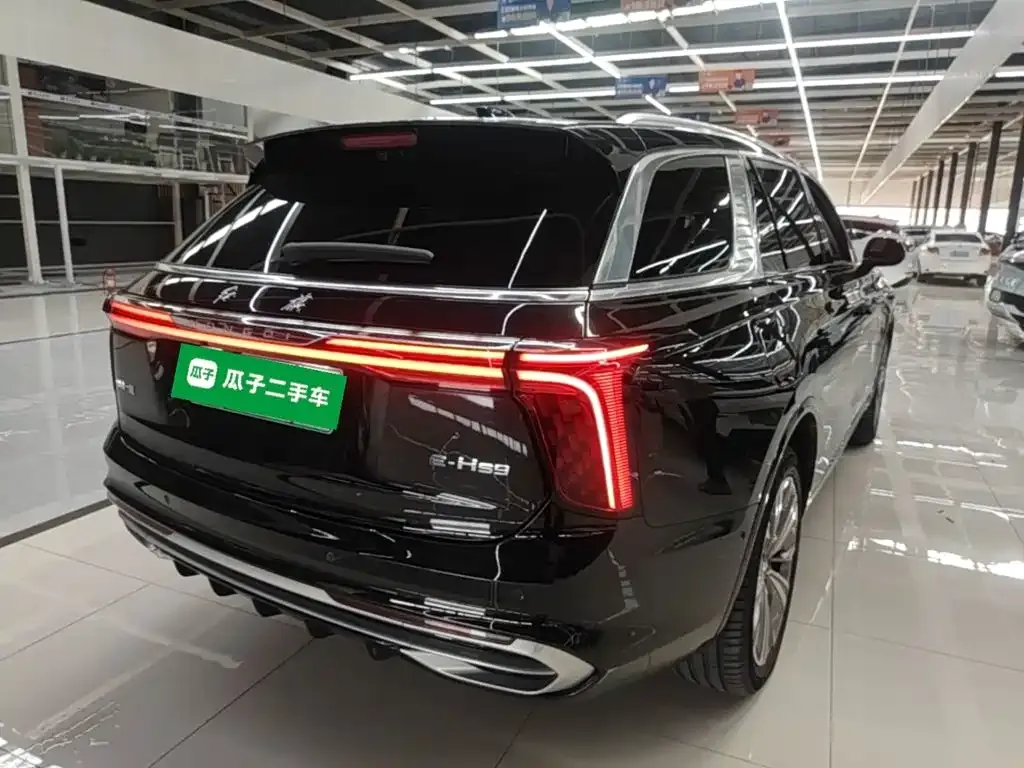 Hongqi E-HS9 — фото 4