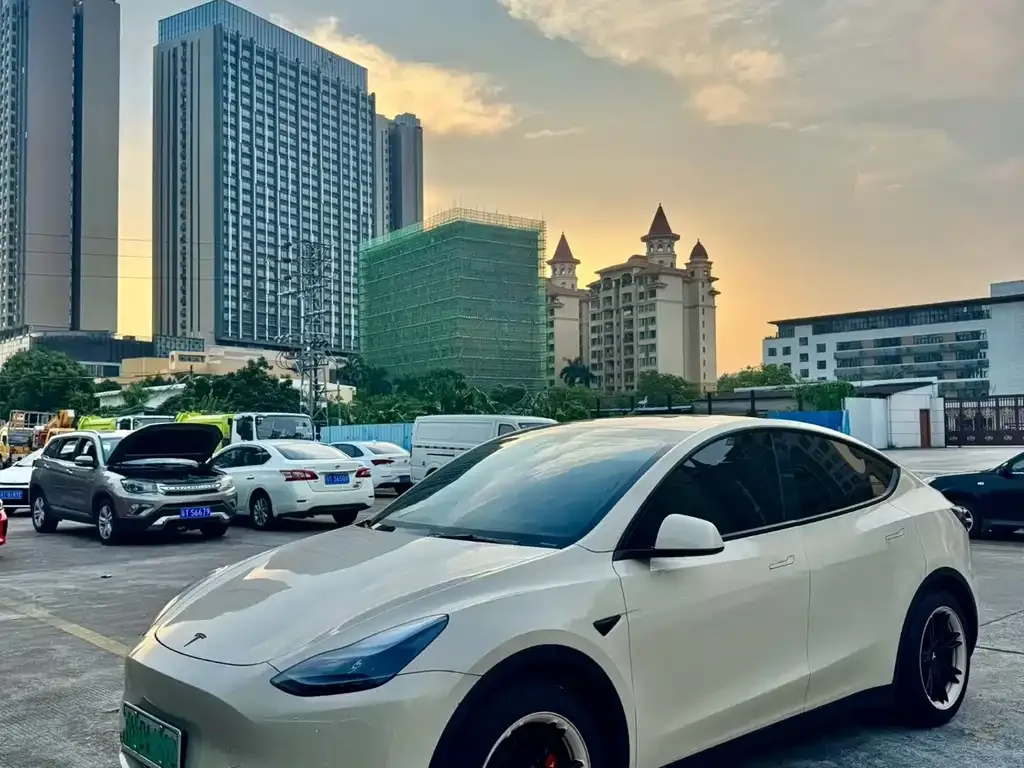 Tesla Model Y — фото 1