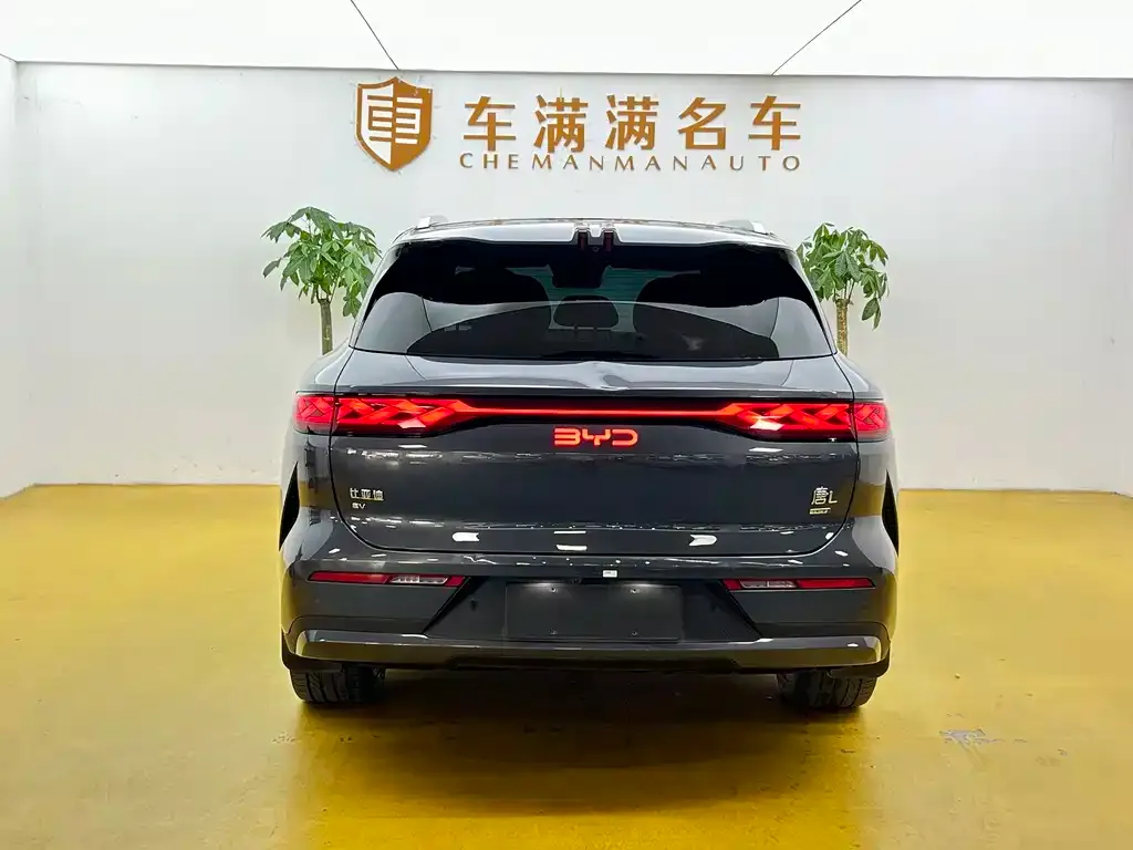 BYD Tang L — фото 2