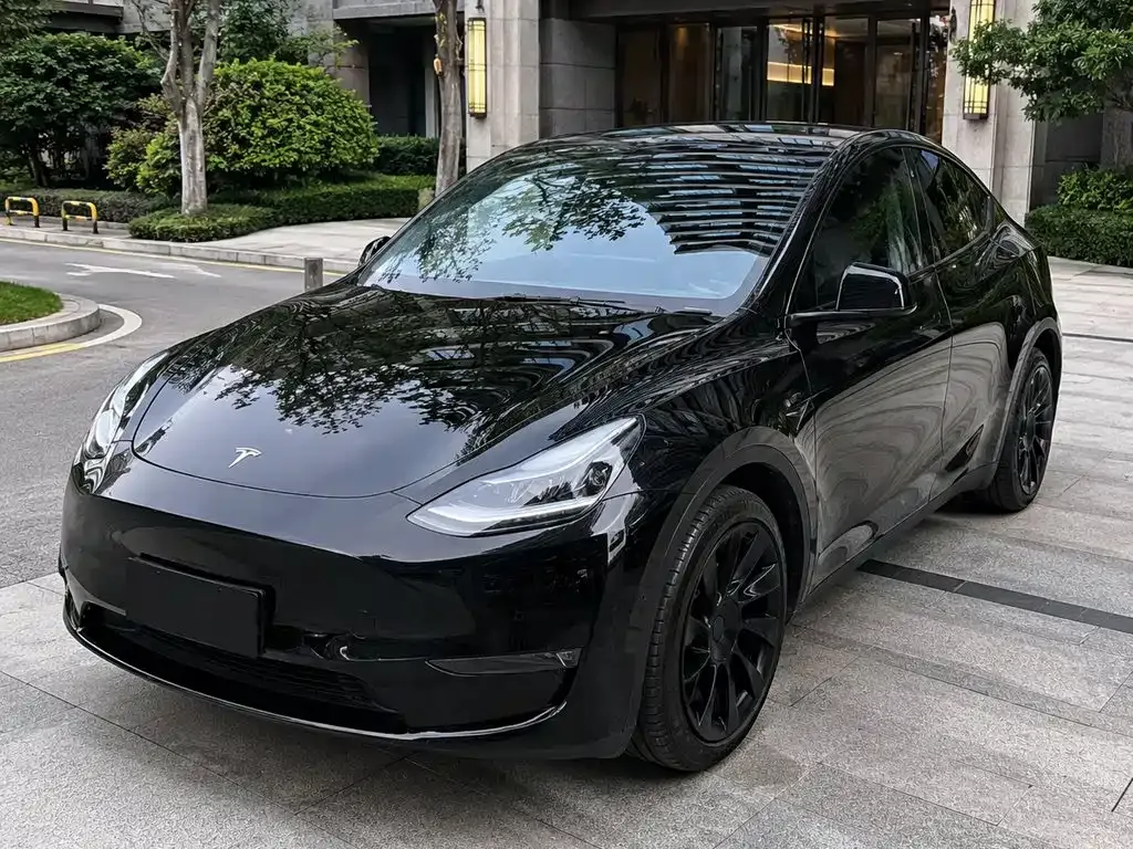 Tesla Model Y — фото 1