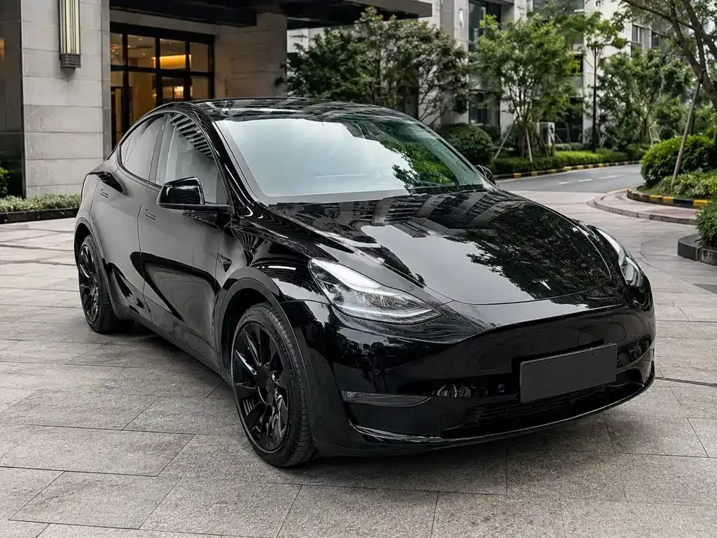 Tesla Model Y — фото 6