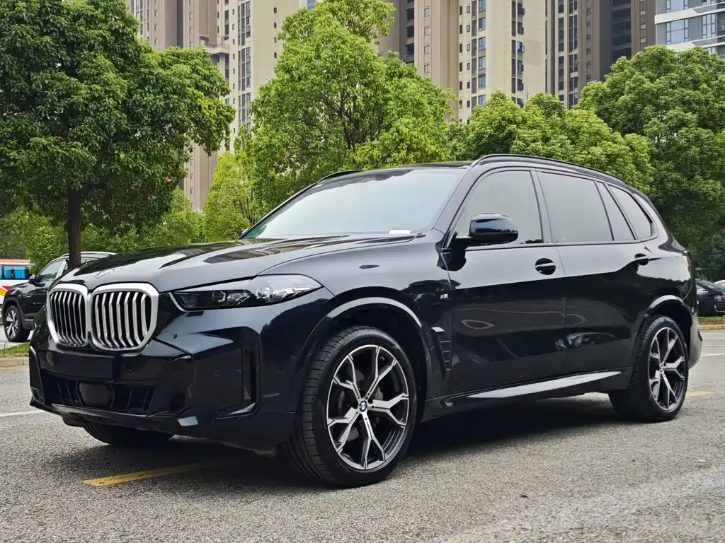 BMW X5 — фото 1
