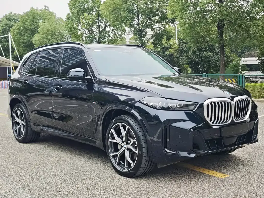 BMW X5 — фото 4