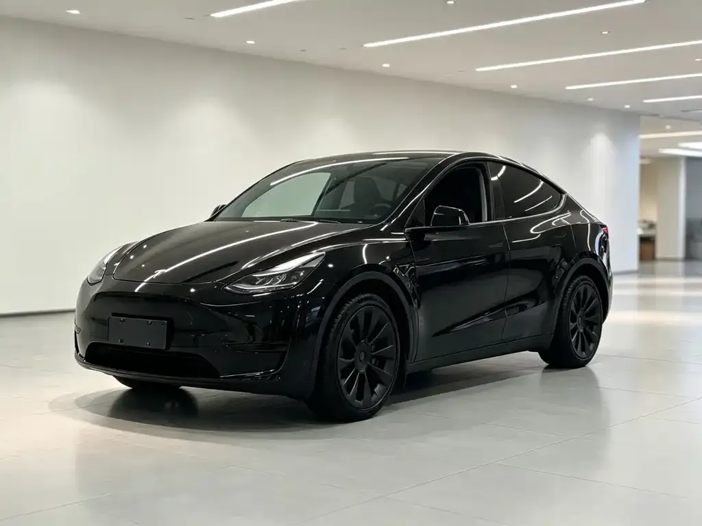 Tesla Model Y — фото 1