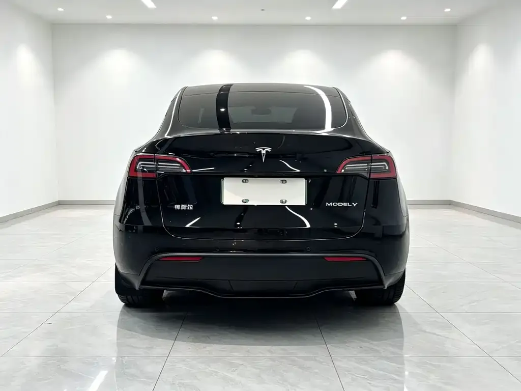 Tesla Model Y — фото 2