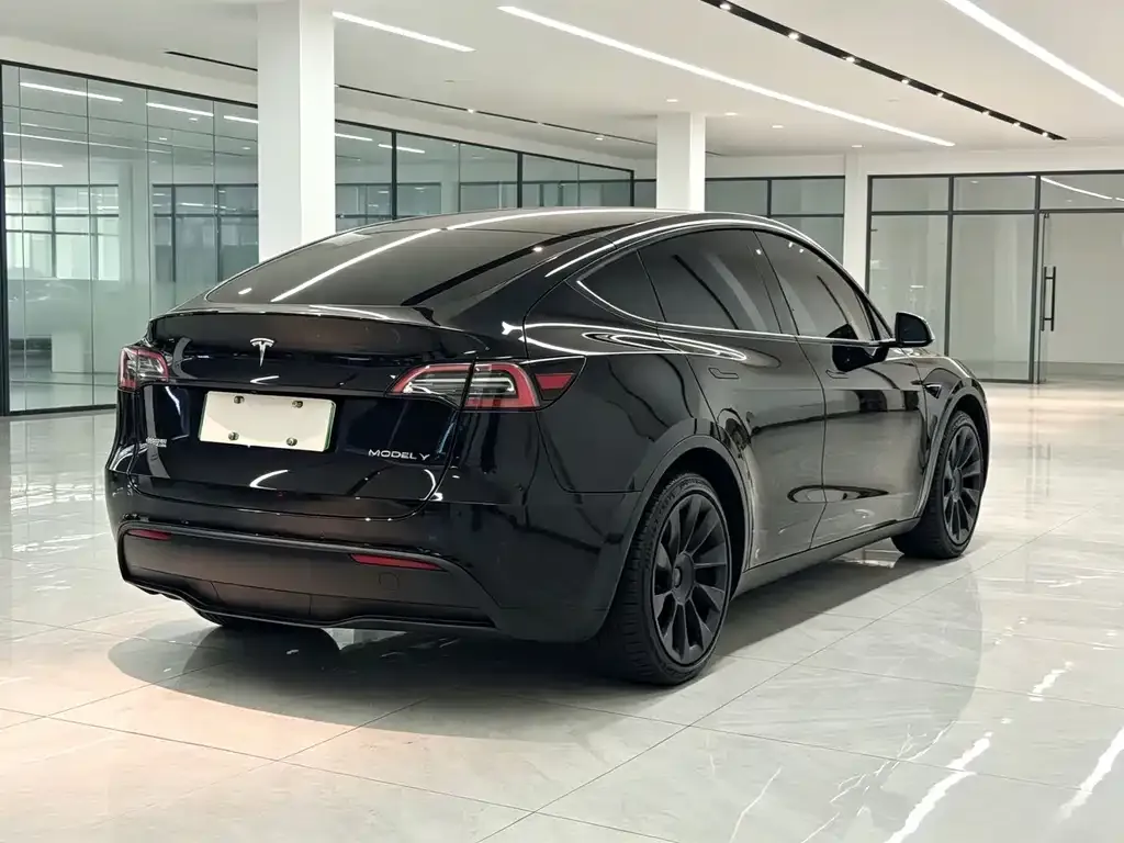 Tesla Model Y — фото 6