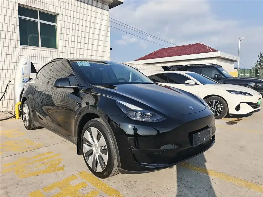 Tesla Model Y — фото 3