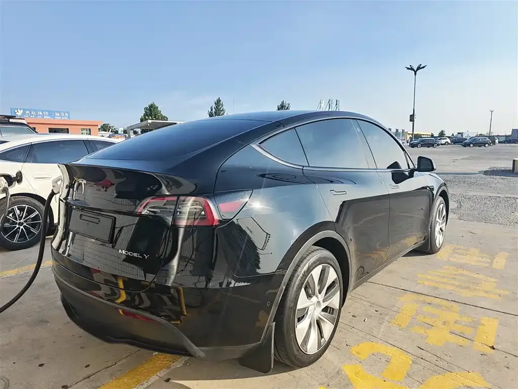 Tesla Model Y — фото 5