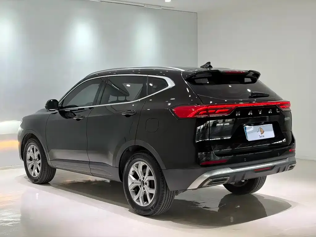 Haval H6 — фото 8
