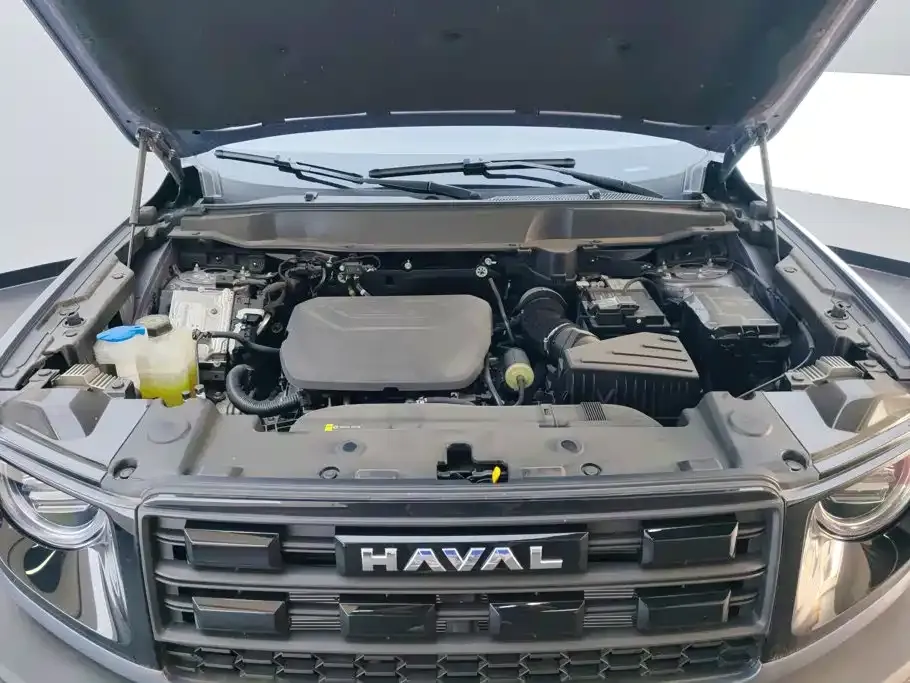 Haval Big Dog — фото 9