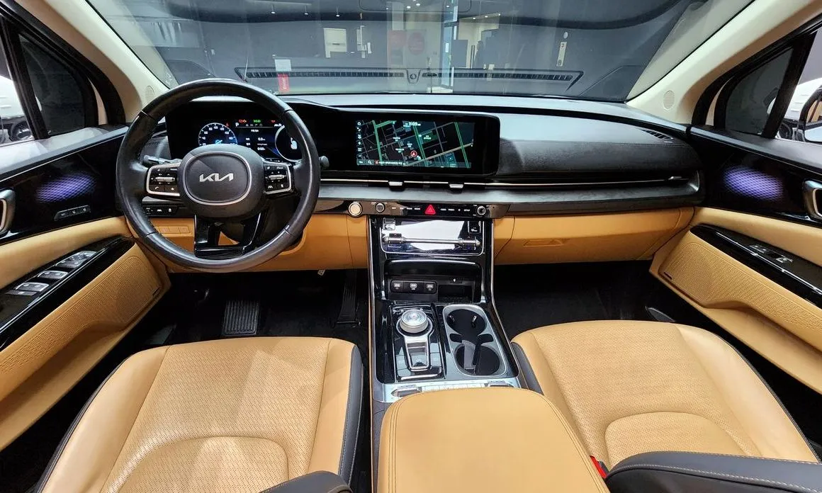 Kia Carnival — фото 10