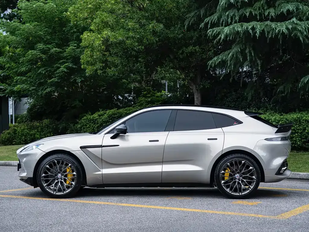 Aston Martin DBX — фото 10