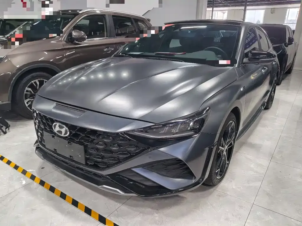 Hyundai Fista — фото 1