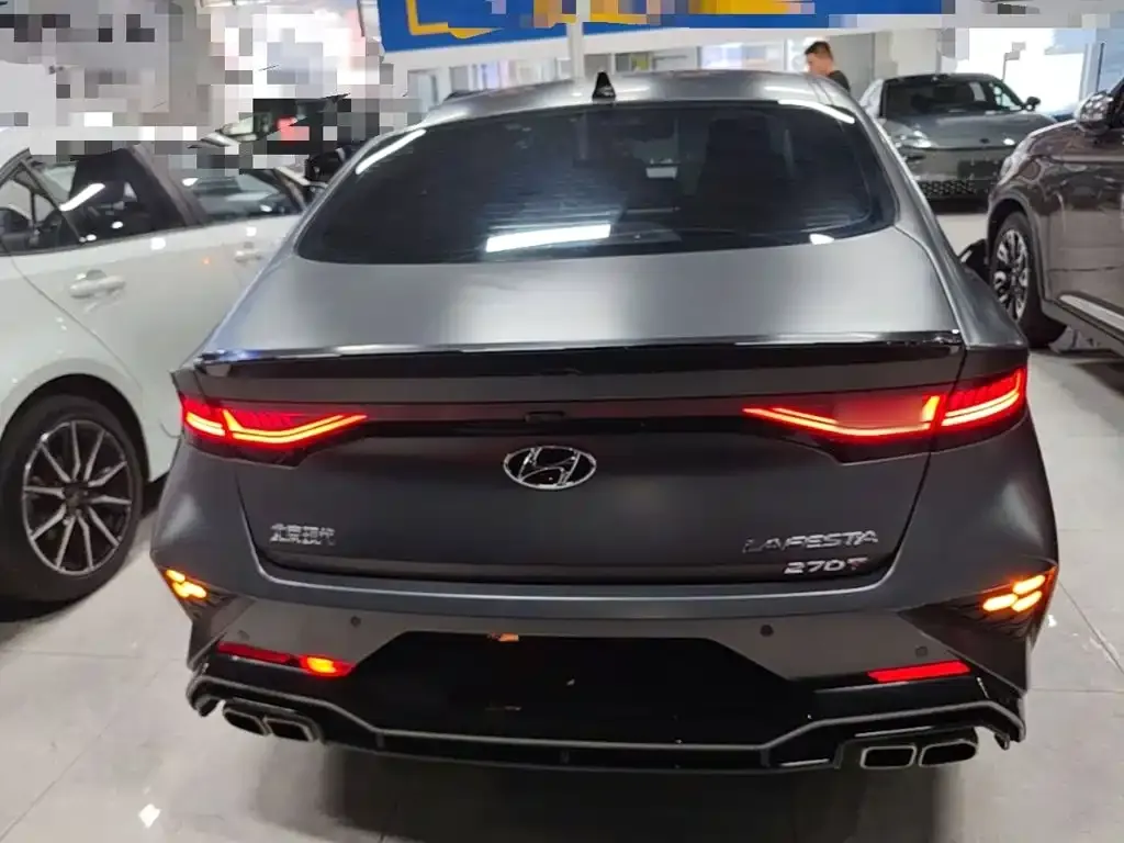 Hyundai Fista — фото 10