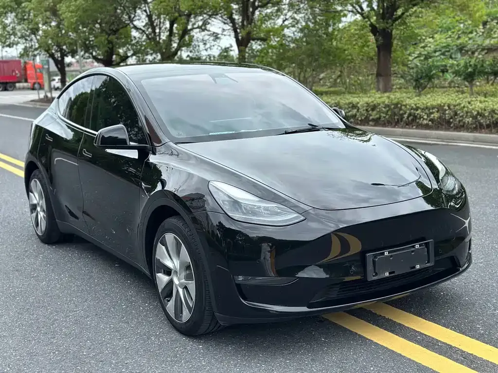 Tesla Model Y — фото 7