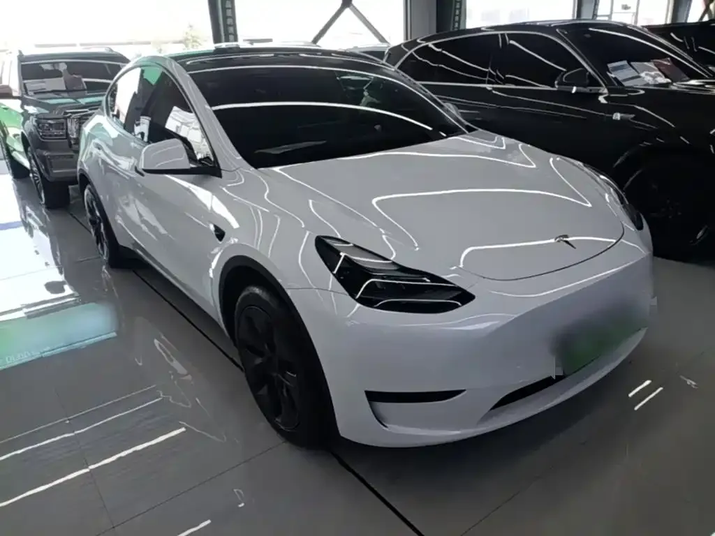 Tesla Model Y — фото 2