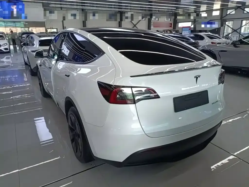 Tesla Model Y — фото 10