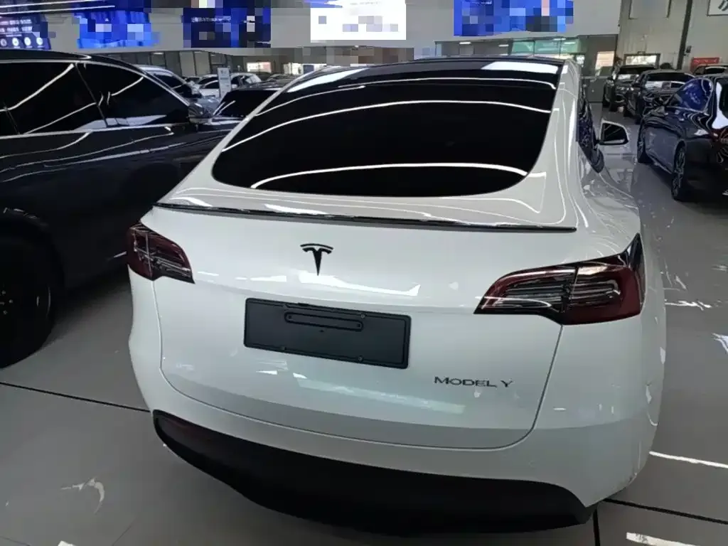 Tesla Model Y — фото 8