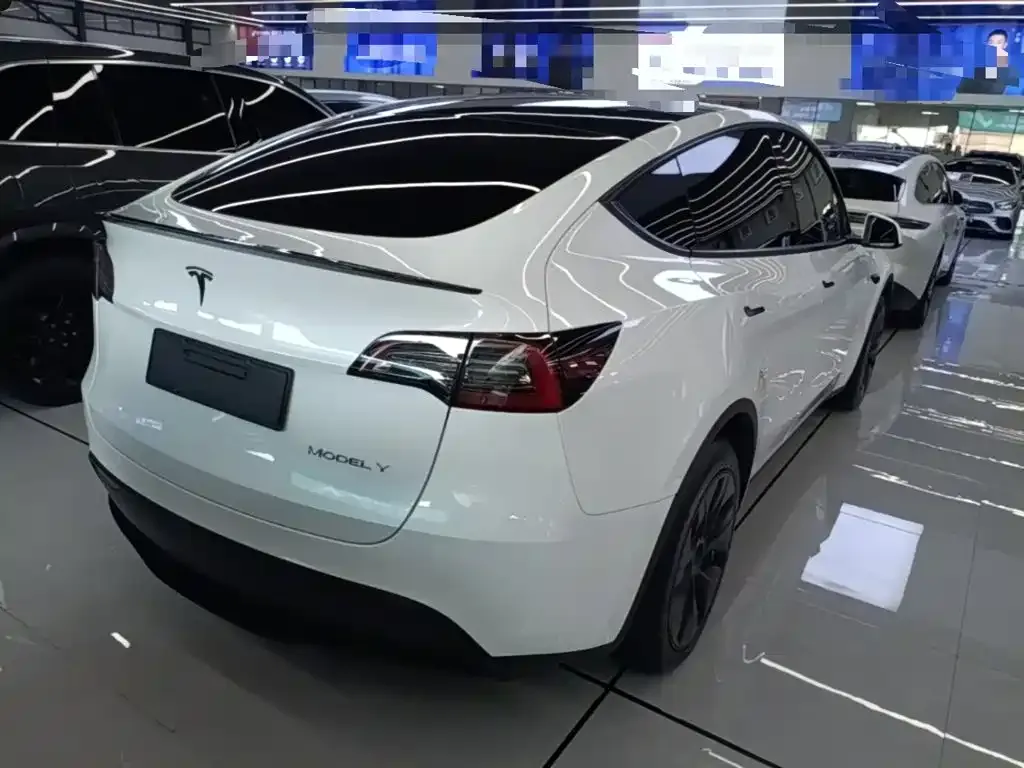 Tesla Model Y — фото 5