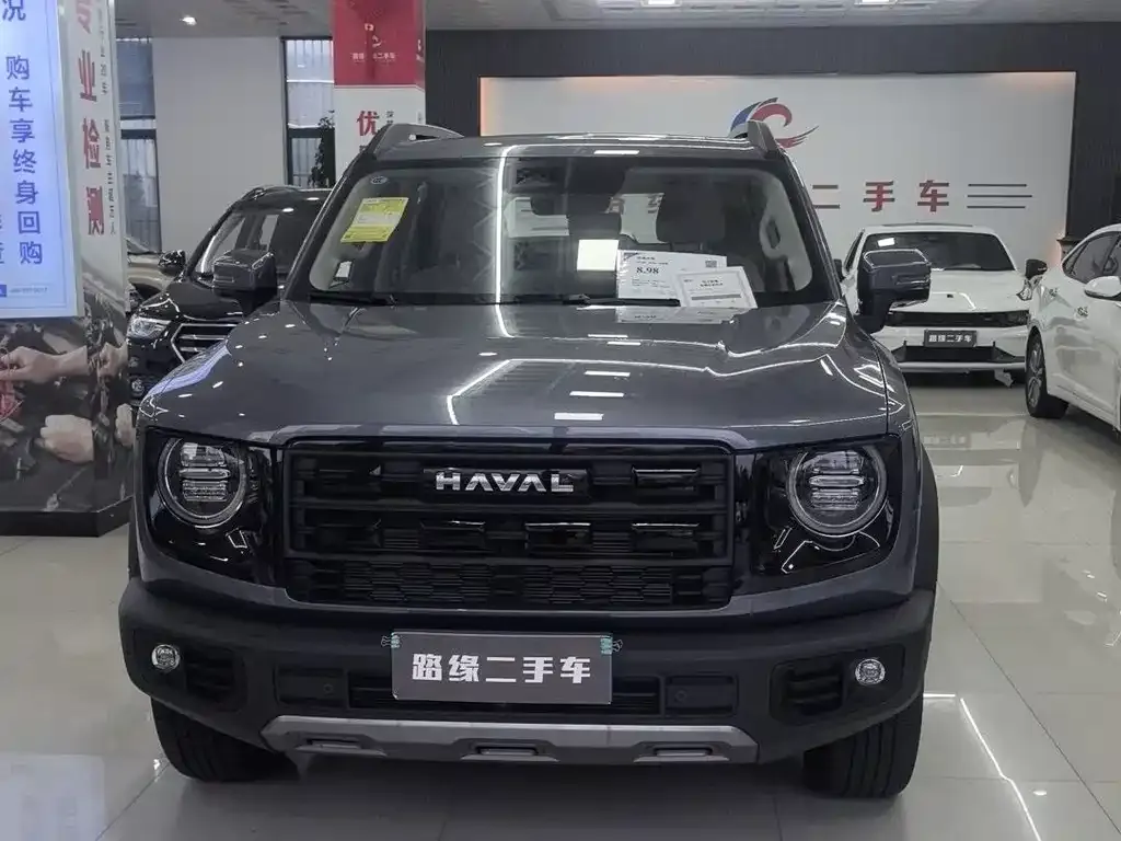 Haval Big Dog — фото 10
