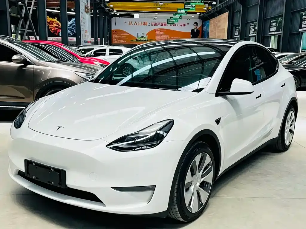 Tesla Model Y — фото 1