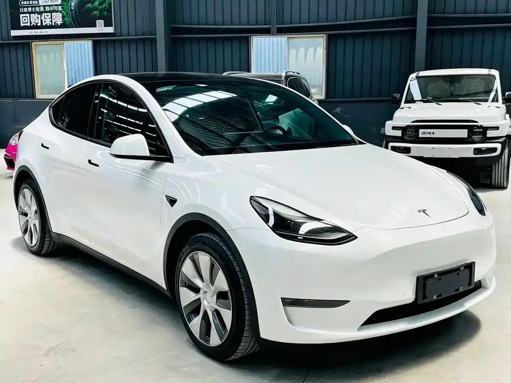 Tesla Model Y — фото 9