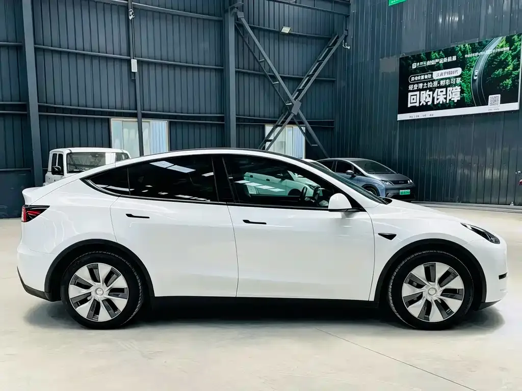 Tesla Model Y — фото 3