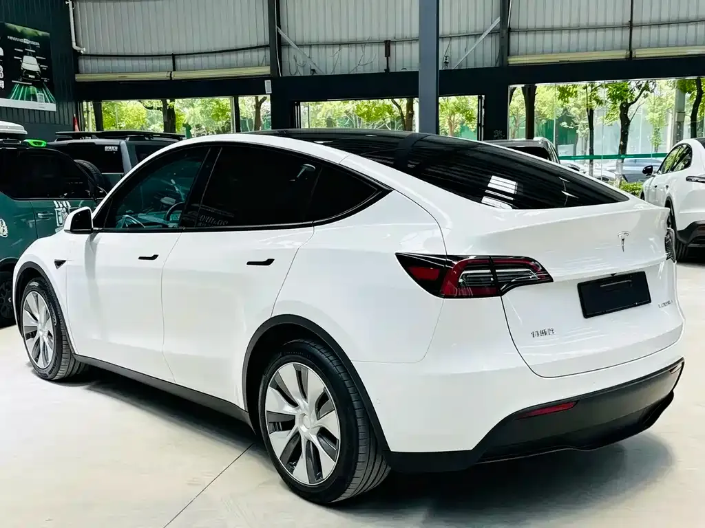 Tesla Model Y — фото 8