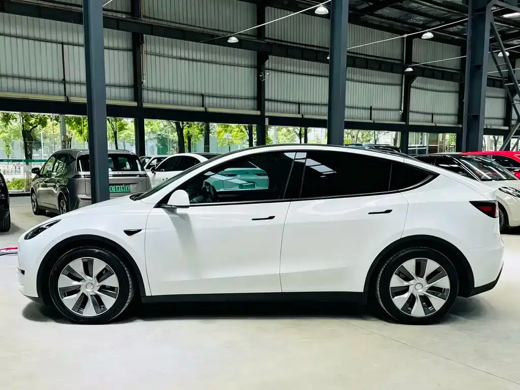 Tesla Model Y — фото 5