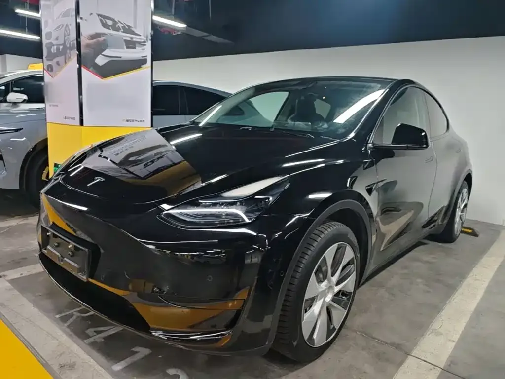 Tesla Model Y — фото 10