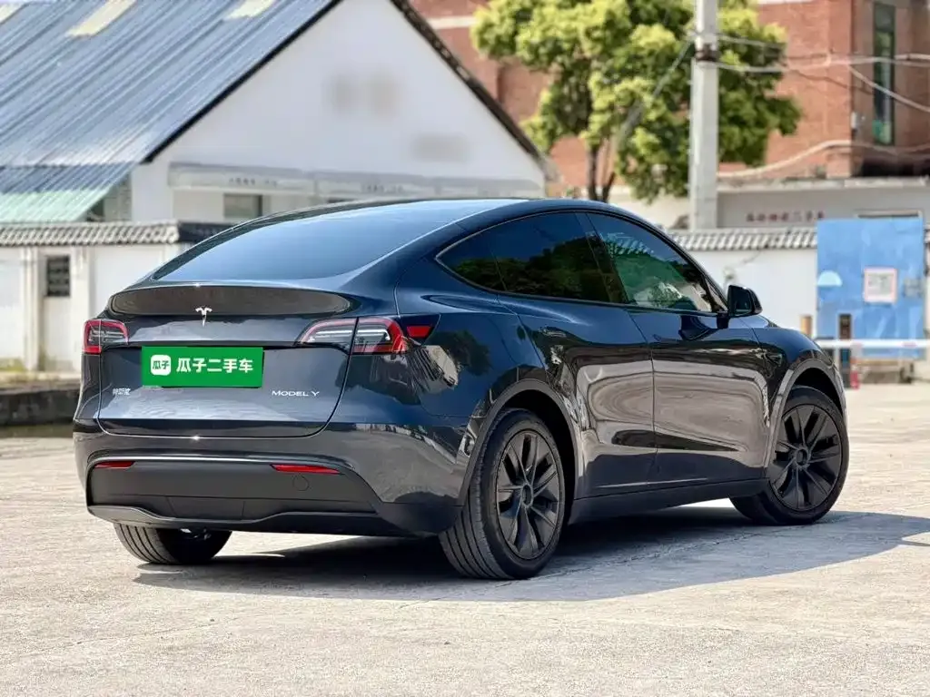 Tesla Model Y — фото 8