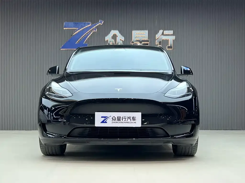 Tesla Model Y — фото 10
