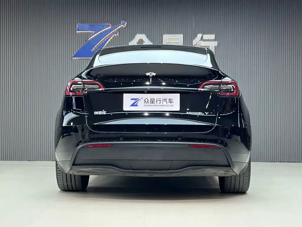 Tesla Model Y — фото 2