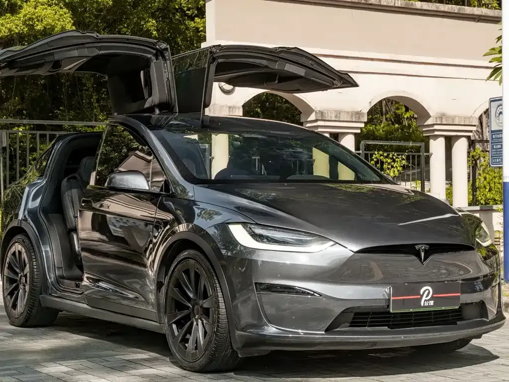 Tesla Model X — фото 1