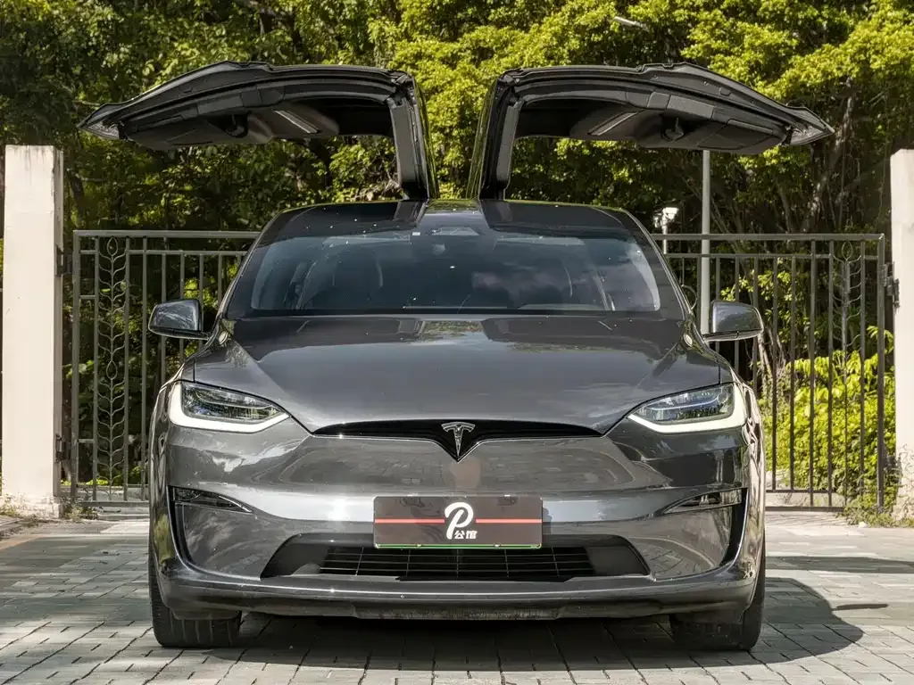 Tesla Model X — фото 9