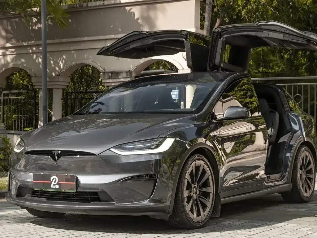 Tesla Model X — фото 6
